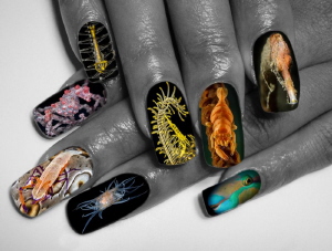 "FashionNails" by Alex Varani 